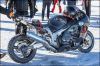 Filename=M1DX3978.jpg
Filesize=354KiB
Dimensions=900x600
Date added=Apr 30, 2017 M1DX3978.jpg