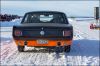 Filename=M1DX4062.jpg
Filesize=259KiB
Dimensions=900x600
Date added=Apr 30, 2017 M1DX4062.jpg
