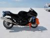 sw_8-10-09_721.jpg