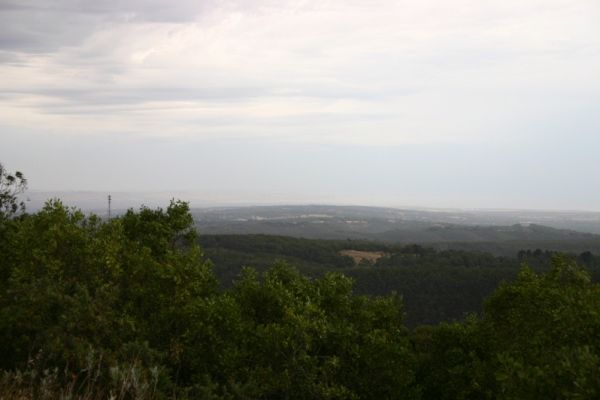 afterevent2_063.jpg