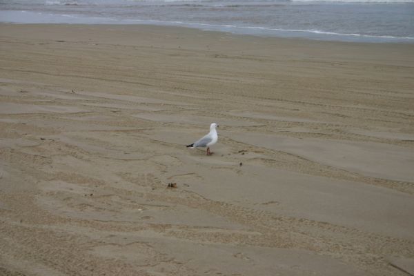 afterevent2_082.jpg
