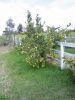 Filename=Australia_16.jpg
Filesize=128KiB
Dimensions=450x600
Date added=Sep 22, 2010 Australia_16.jpg