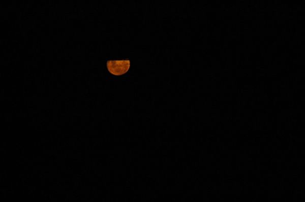 LGSA2009_Misc_Other_77.jpg